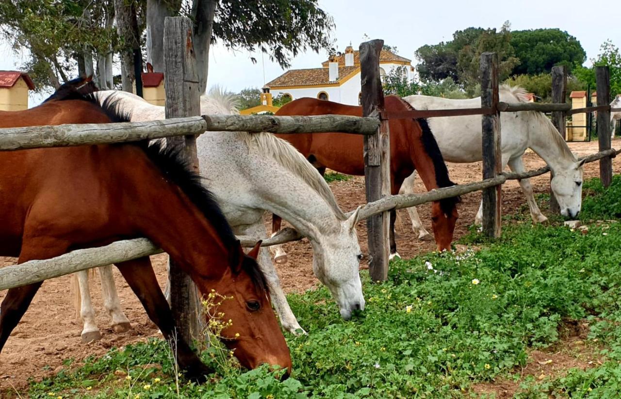 Posada Rural La Corbera Ουτρέρα Εξωτερικό φωτογραφία