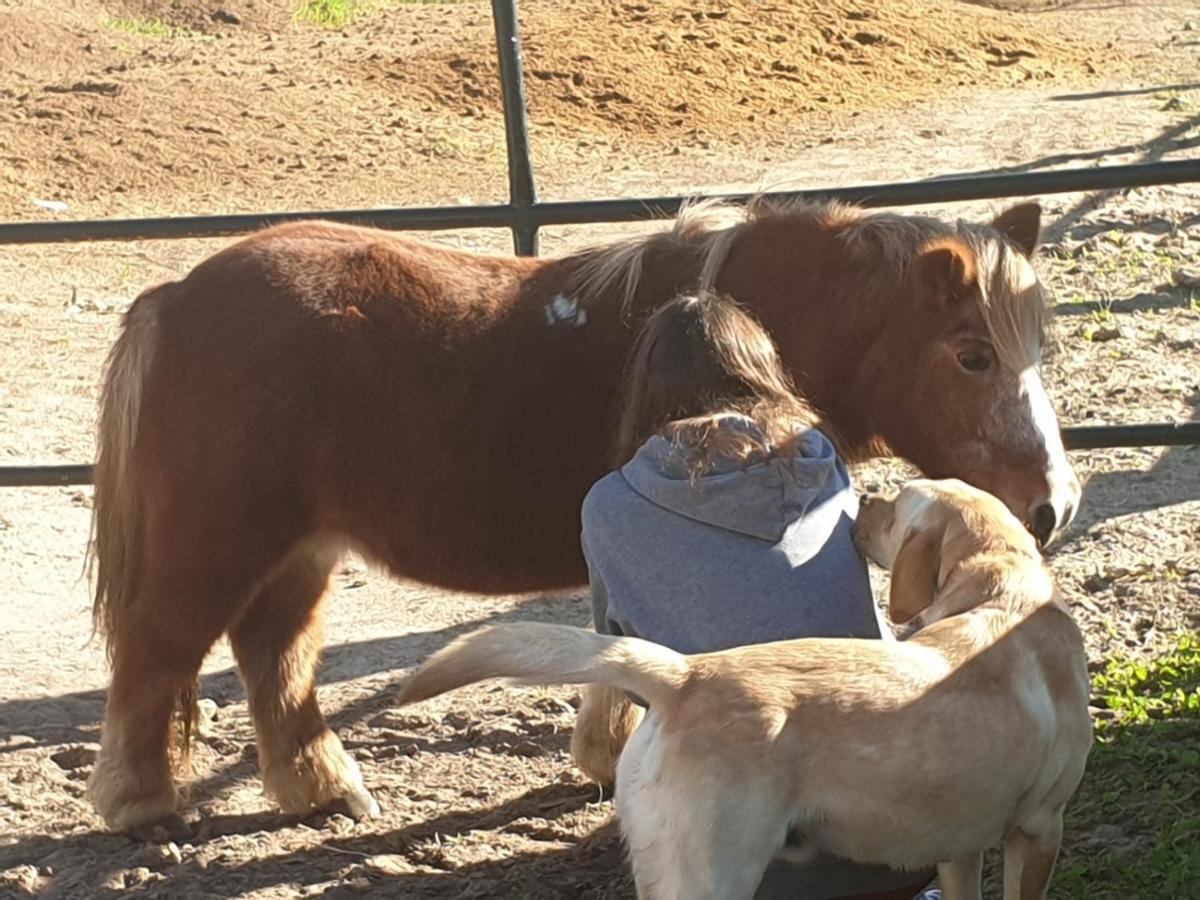 Posada Rural La Corbera Ουτρέρα Εξωτερικό φωτογραφία