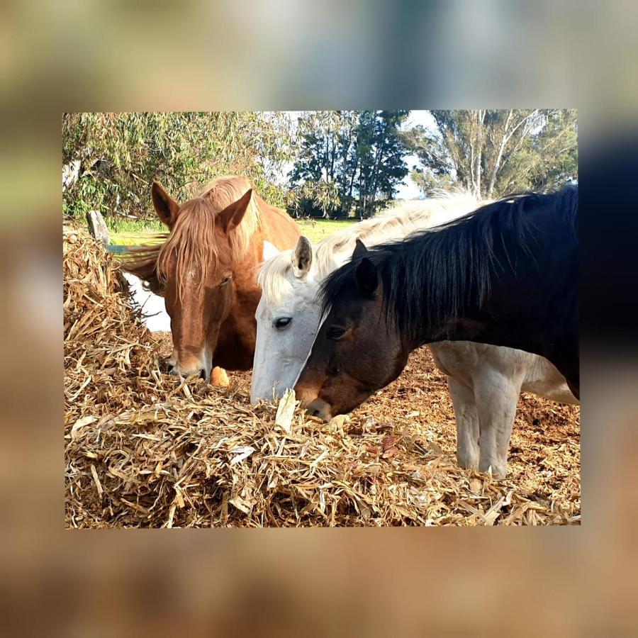 Posada Rural La Corbera Ουτρέρα Εξωτερικό φωτογραφία