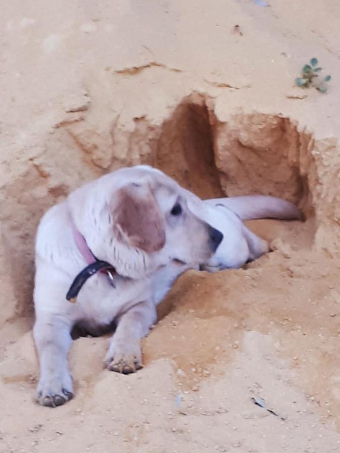 Posada Rural La Corbera Ουτρέρα Εξωτερικό φωτογραφία
