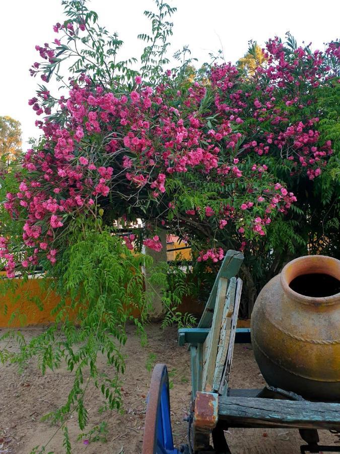 Posada Rural La Corbera Ουτρέρα Εξωτερικό φωτογραφία