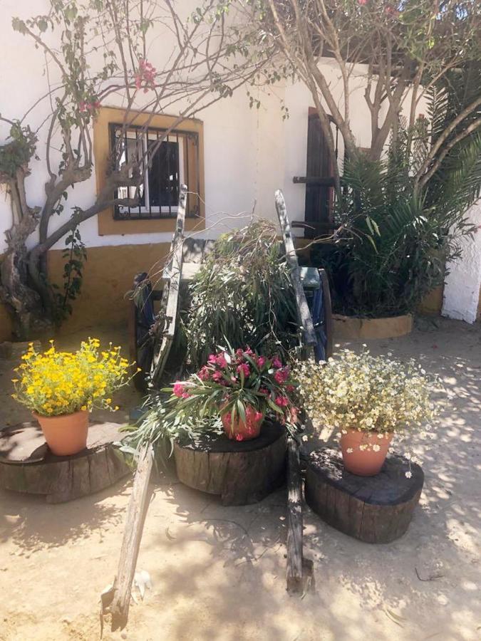 Posada Rural La Corbera Ουτρέρα Εξωτερικό φωτογραφία