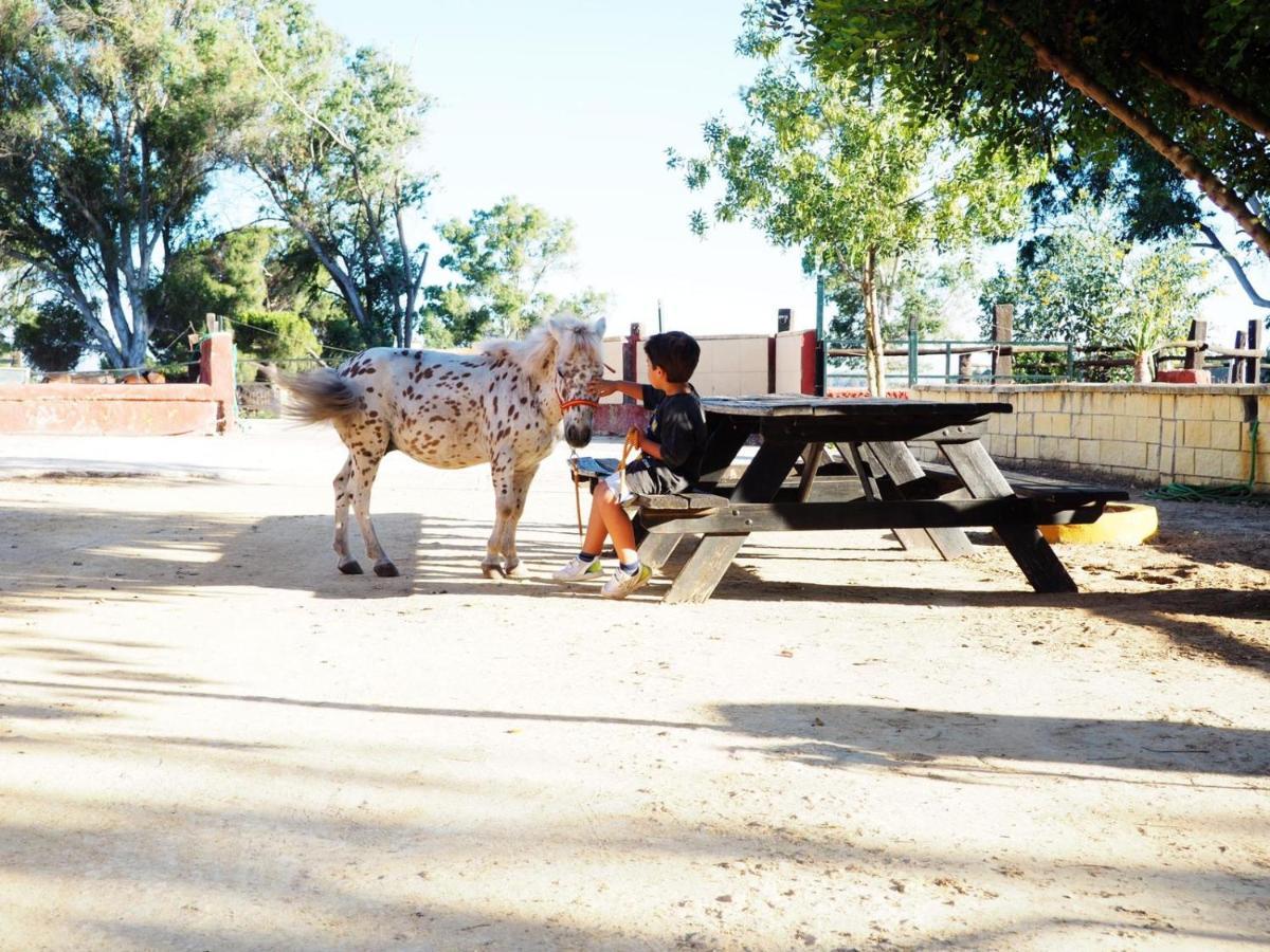 Posada Rural La Corbera Ουτρέρα Εξωτερικό φωτογραφία