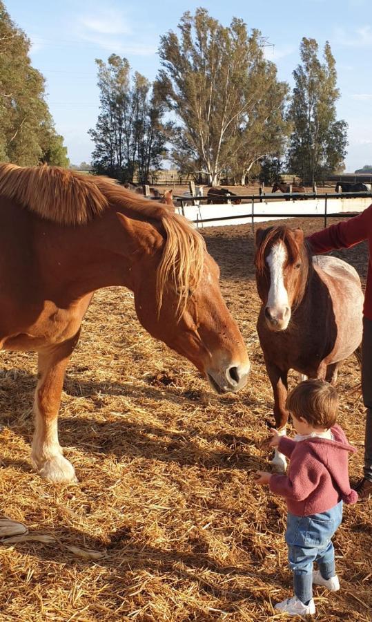 Posada Rural La Corbera Ουτρέρα Εξωτερικό φωτογραφία